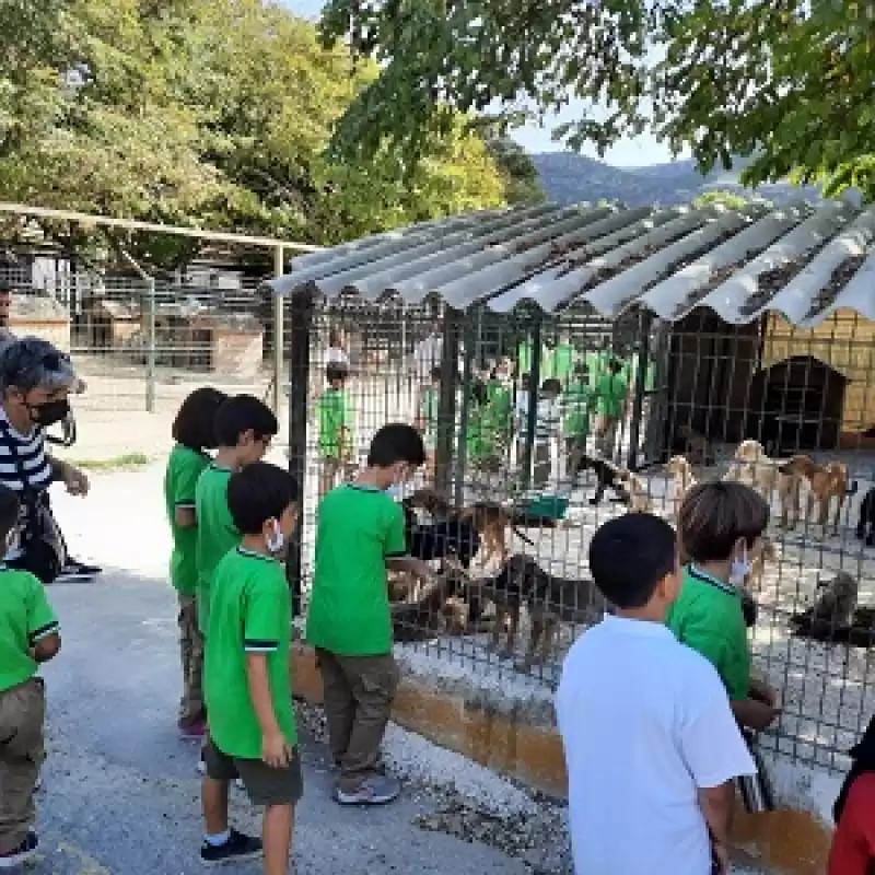 Bek Okulları öğrencileri Sokak Hayvanlarını Besledi