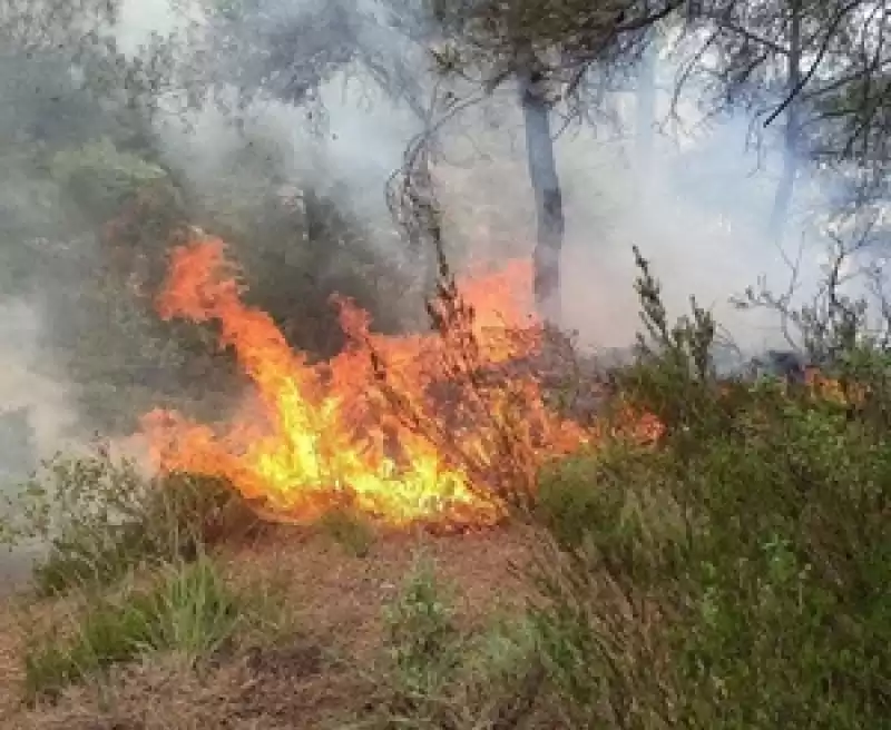 Yayladağı'nda çıkan Orman Yangını Söndürüldü