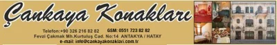 Çankaya Konakları