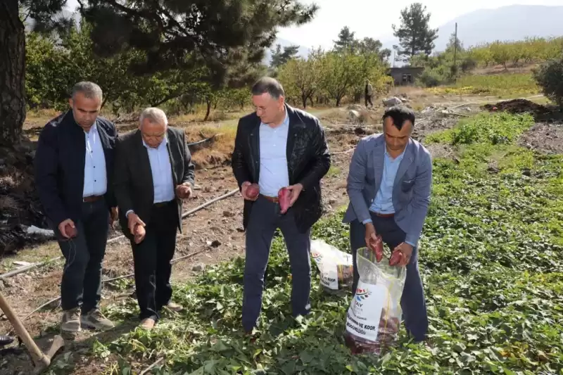 HBB’nin Kırsal Kalkınma Projesinde Dört Mevsim Hasat 