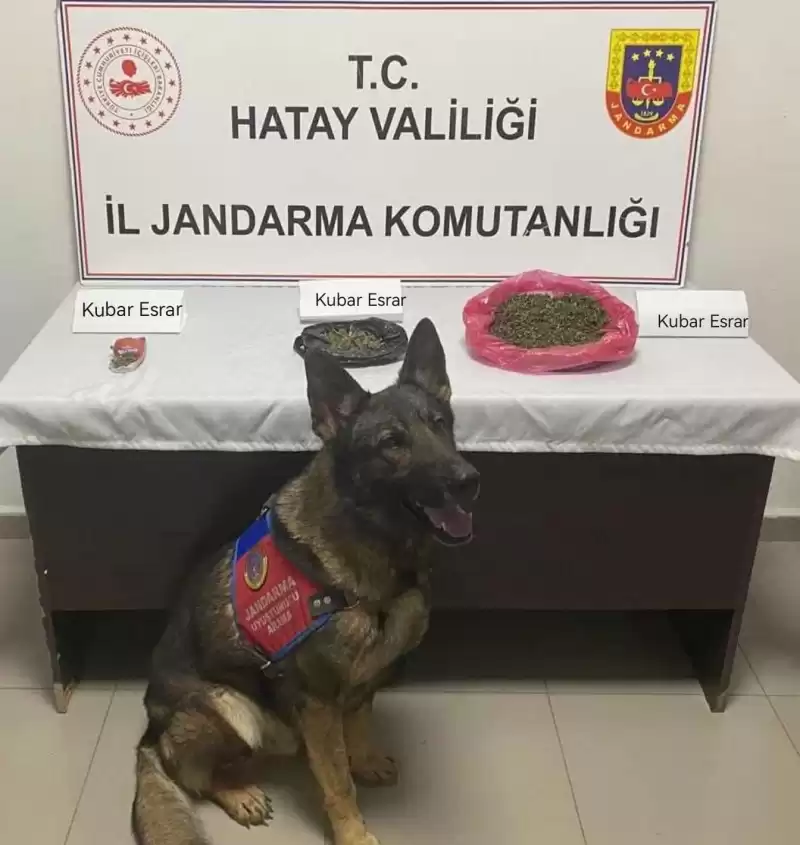 Evinde Uyuşturucu Bulunduran şüpheli Yakalandı!