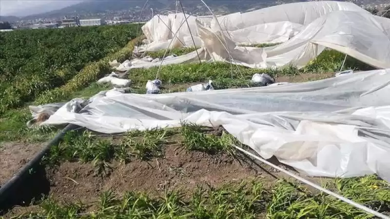 Fırtına Hatay’da Depremzedelerin Seralarına Zarar Verdi