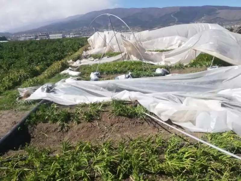 Fırtına Hatay’da Depremzedelerin Seralarına Zarar Verdi