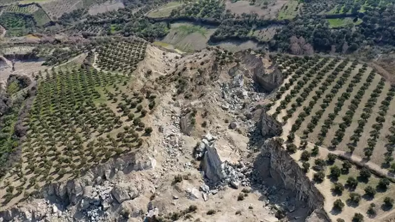 Depremde Ikiye Bölünen Zeytinliğin Bulunduğu Bölge Için Kritik Uyarı