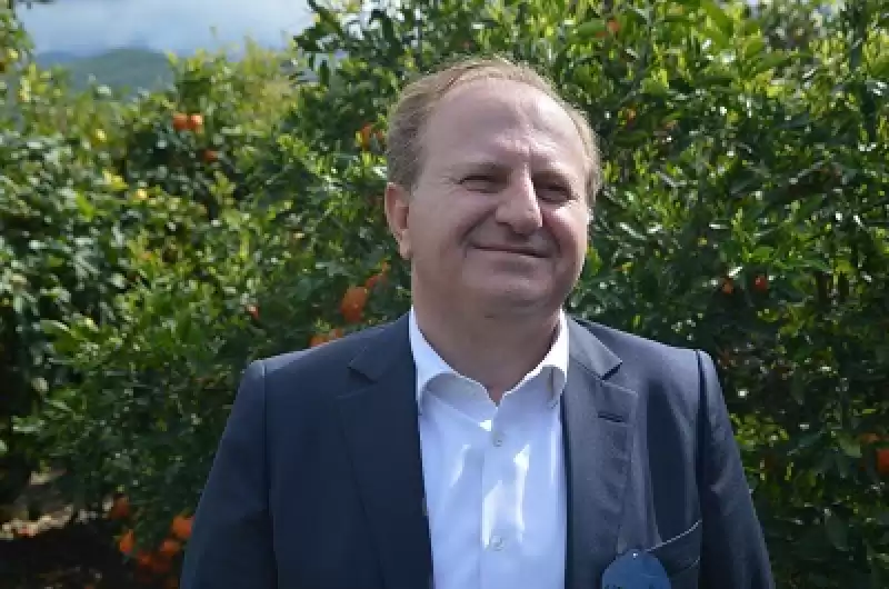 Hatay'da Dalında Kalan Limonların Toplanması çağrısı