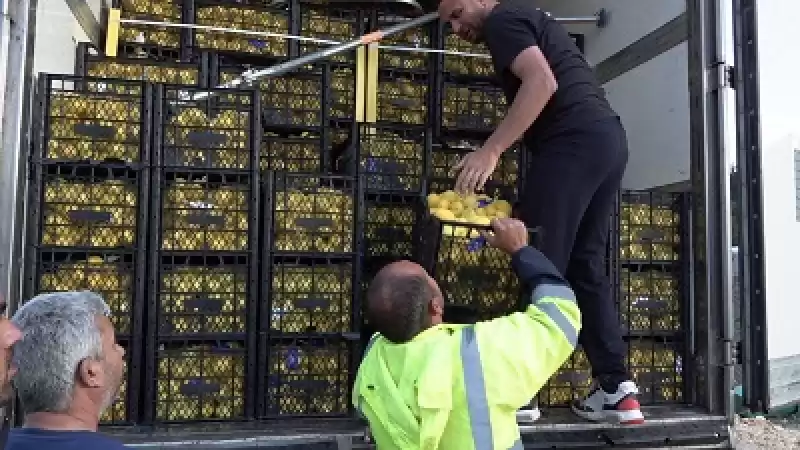 Mersin Büyükşehir Belediyesinden Hatay’a 24 Ton Limon Ve Portakal