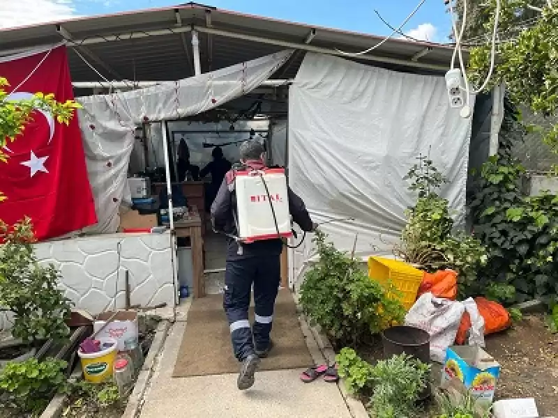 Hatay Büyükşehir Belediyesi’nden Tam Donanımlı Ilaçlama Hizmeti