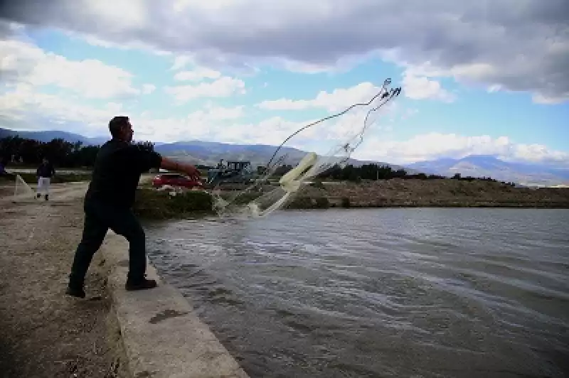 Deprem Stresinden Uzaklaşmak Için Tuttukları Balıkları Afetzedelerle Paylaşıyorlar