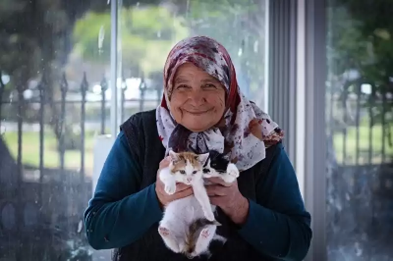 Hatay'da 70 Yaşındaki Kadın 17 Yıldır Sahipsiz Kedilere Bakıyor 