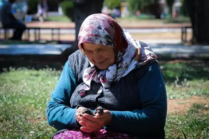 Hatay'da 70 Yaşındaki Kadın 17 Yıldır Sahipsiz Kedilere Bakıyor 