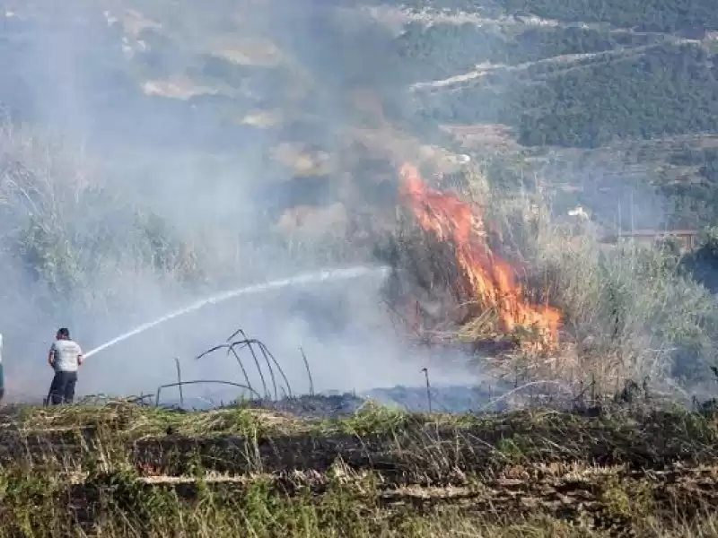 Hatay'da Zeytinlikte Başlayıp Buğday Tarlasına Sıçrayan Yangın Söndürüldü