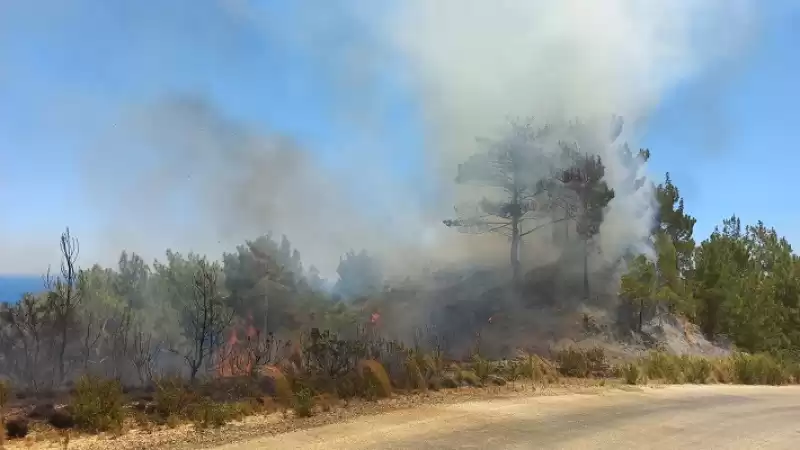 Hatay'da çıkan Orman Yangını Söndürüldü