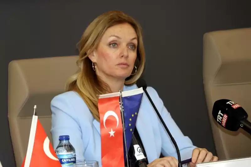 Depremden Etkilenen Hatay'da Işletmelere Hibe Desteği