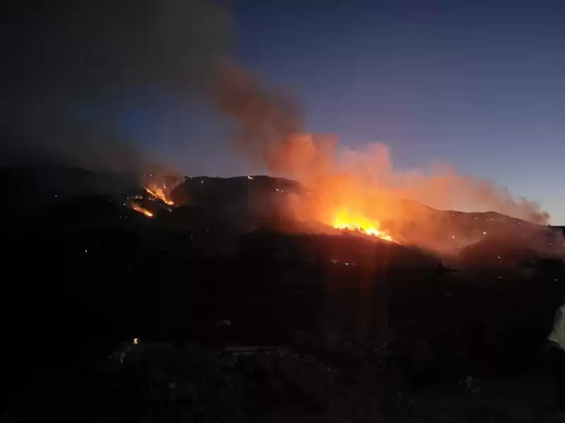 Savaş: 200-250 Hektarlık Alanda Yangın Maalesef Ormanımıza Zarar Vermiş Durumda
