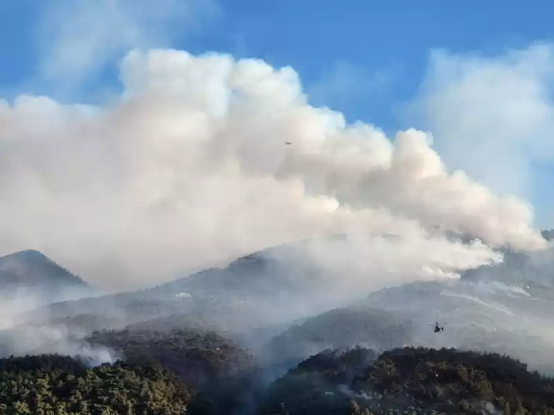 Savaş: 200-250 Hektarlık Alanda Yangın Maalesef Ormanımıza Zarar Vermiş Durumda