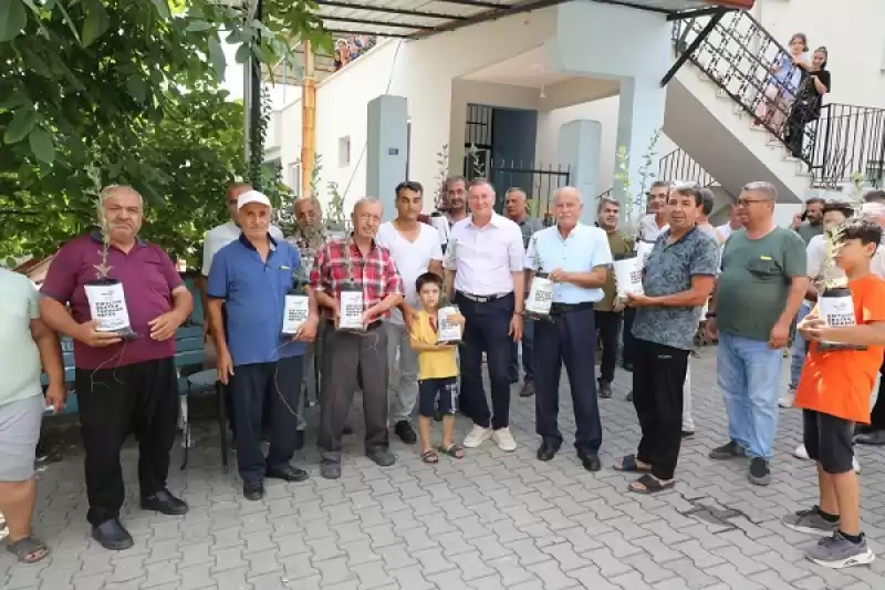 HBB’nin Tohumlarını Dağıttığı 9 Bin Dekarlık Mısırın Hasadı Başladı