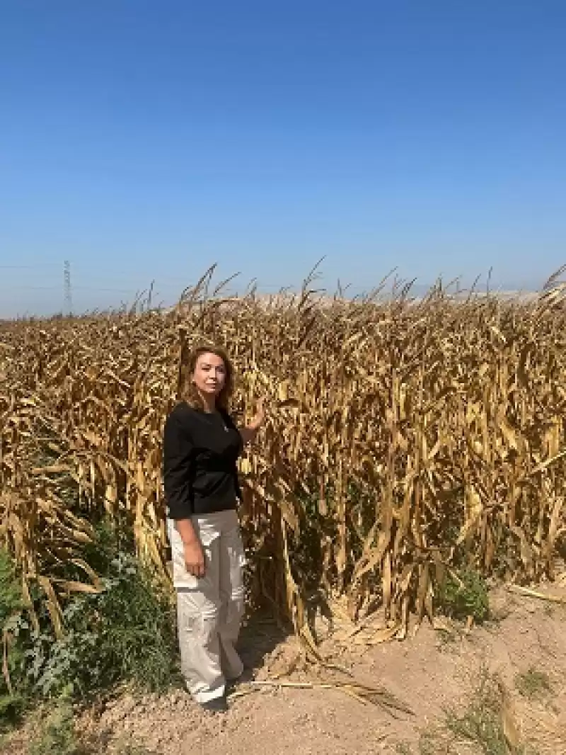 İktidar çiftçiye Adeta “artık üretme” Diyor