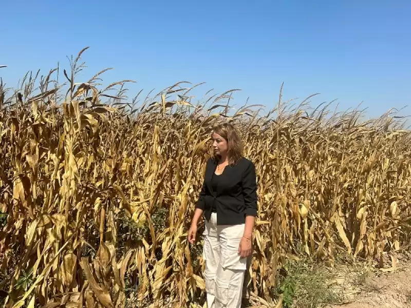 İktidar çiftçiye Adeta “artık üretme” Diyor