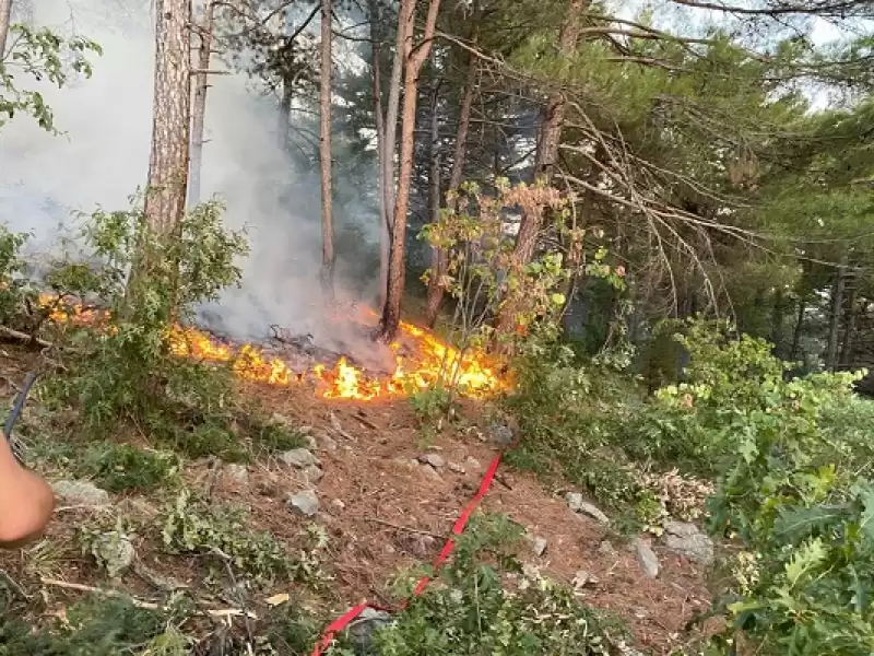 Hatay'da çıkan Orman Yangını Kontrol Altına Alındı 