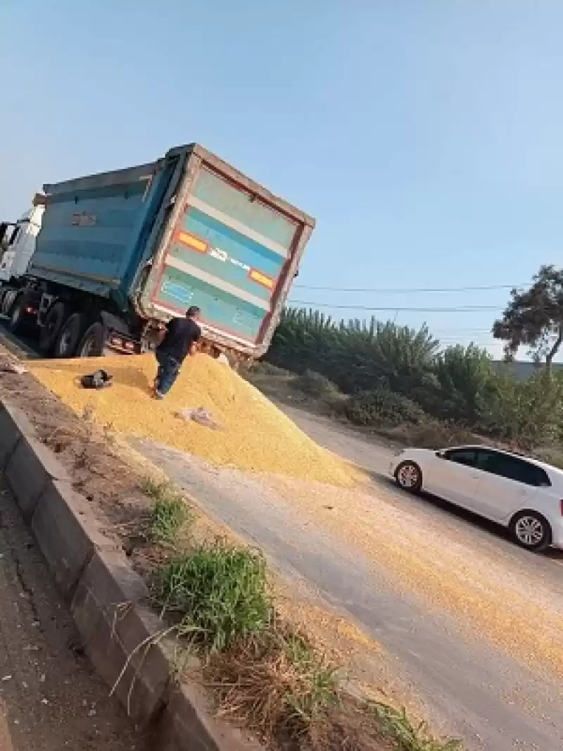 Kapak Açıldı, Buğday Yola Saçıldı!
