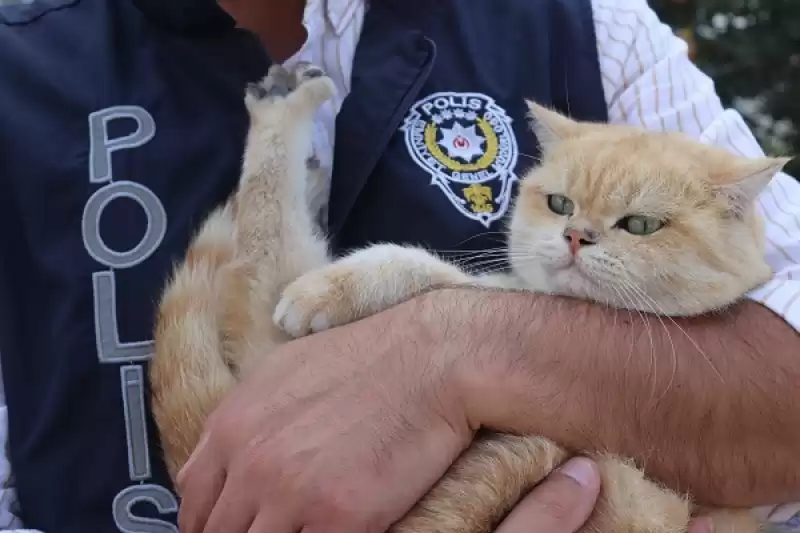 Belen'de 4 Ekim Dünya Hayvanları Koruma Günü Etkinliği Düzenlendi