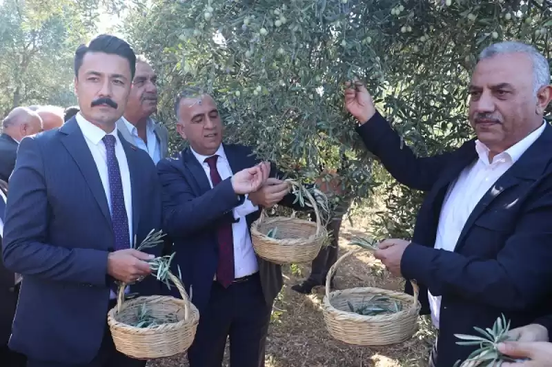 Hatay'da