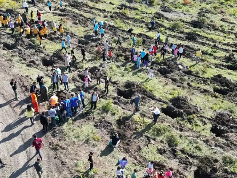 Dörtyol'da öğrenciler Fidan Dikti 