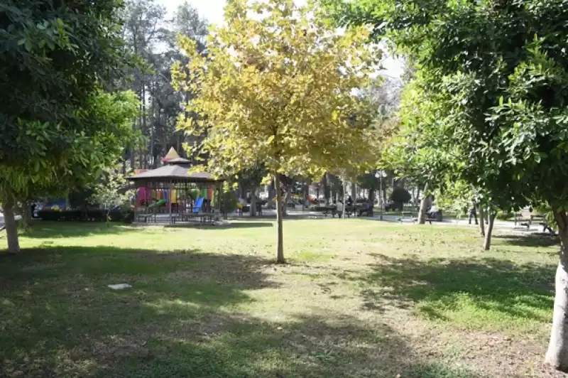 Antakya Belediyesi Yeniden Yeşil Bir Antakya Için çalışıyor