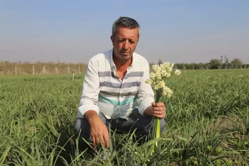 Depremzede üretici, Hatay Sokakları Yeniden Nergis Koksun Diye Işbaşı Yaptı