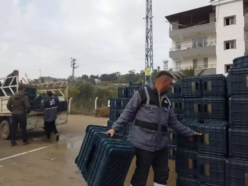 Zeytin üreticilerine Sandık Dağıtımı Yapıldı