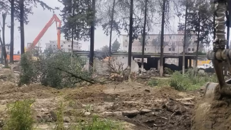 Antakya Atatürk Parkında Ağaç Katliamı