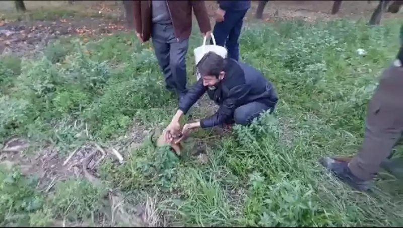 Kuyuya Düşen Yavru Köpeği Itfaiye Kurtardı