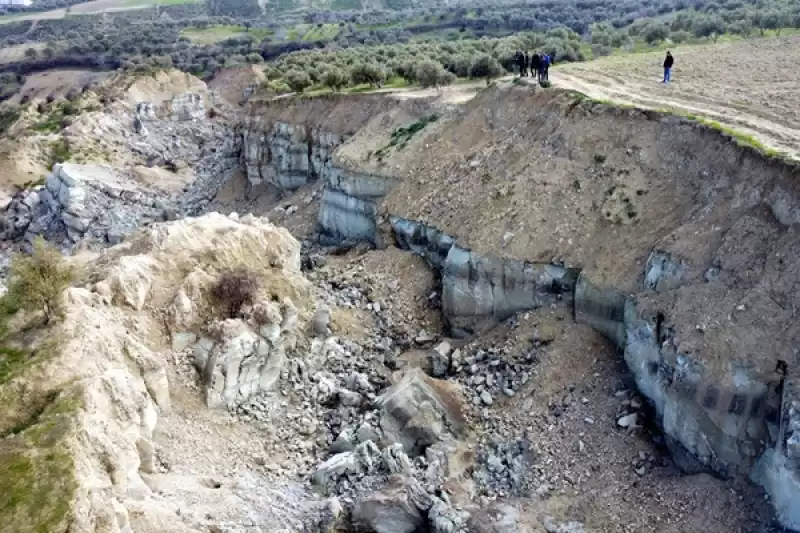 Hatay'da 400 Metrelik Yarık Oluşan Zeytinlik Depremin Simgelerinden Oldu