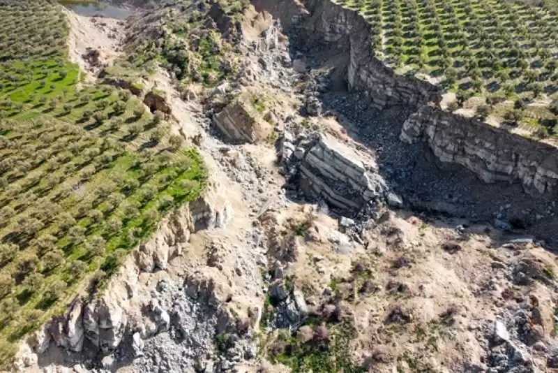 Hatay'da 400 Metrelik Yarık Oluşan Zeytinlik Depremin Simgelerinden Oldu