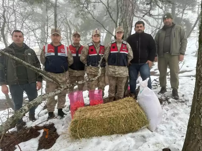 Jandarma 'haydi' Ekibi Doğaya Yiyecek Bıraktı