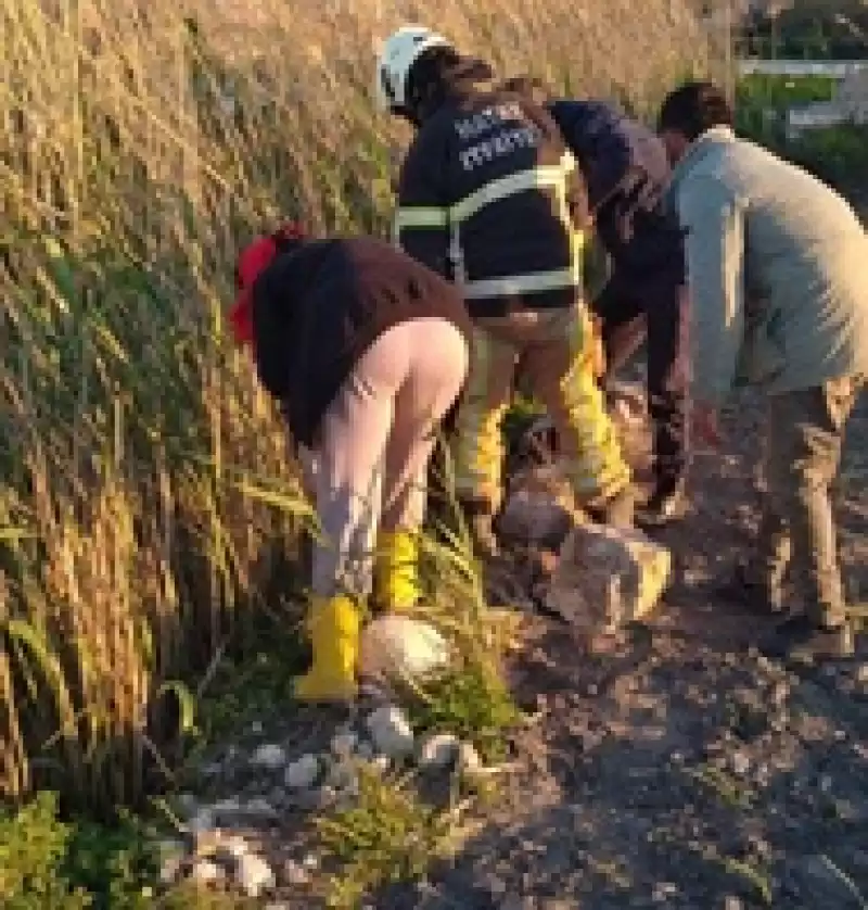 Kurtarılan Köpekle Sahibi Duygulandırdı