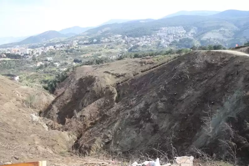 Hatay'da Geçen Yıl Yanan 663 Hektar Ormana 6 Ton Kızılçam Tohumu Ekildi