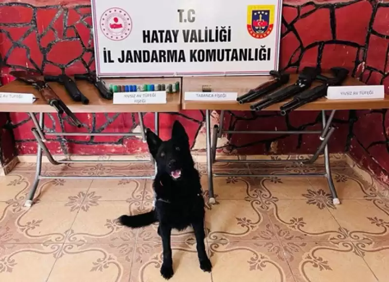 Hatay'da Ruhsatsız 20 Av Tüfeği Ele Geçirildi