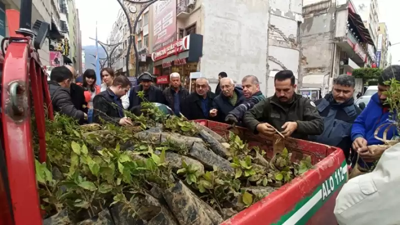 İskenderun'da 10 Bin Fidan Dağıtıldı