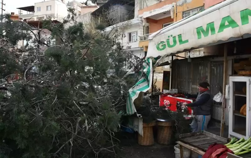 Hatay'da şiddetli Rüzgar Etkili Oldu