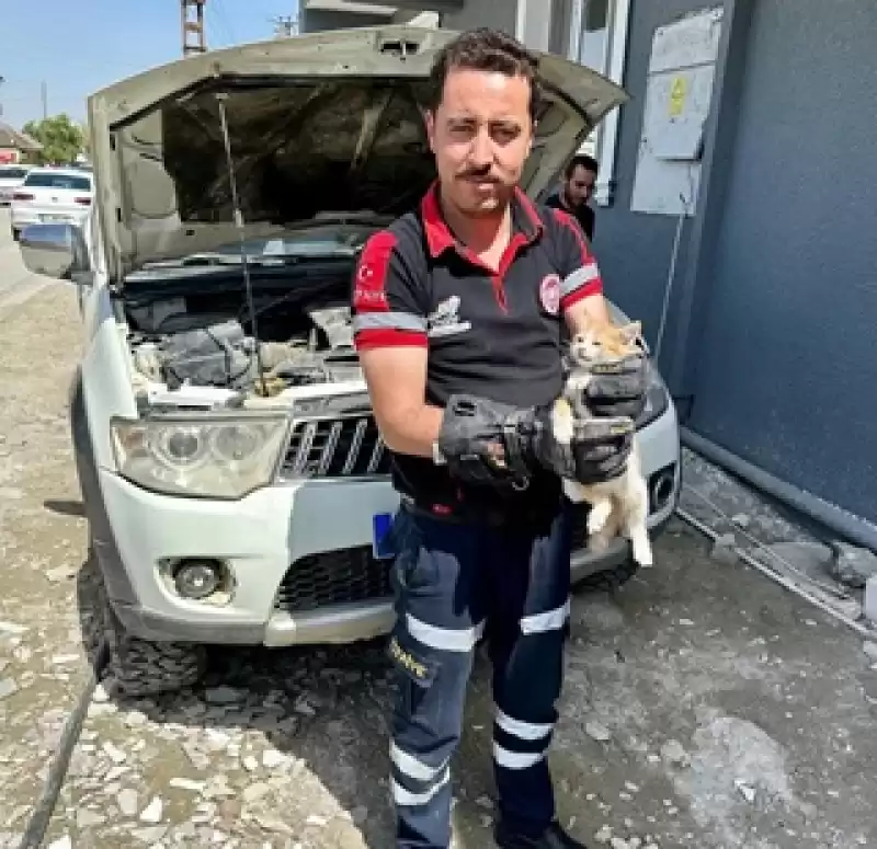 Hatay'da Otomobilin Motor Kısmına Sıkışan Kedi Yavrusunu Itfaiye Kurtardı