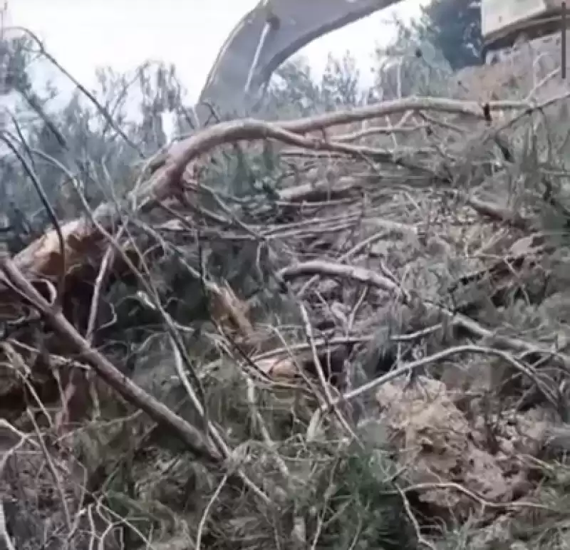 Dikmece-Gülderen'deki Ormanlık Alanlar, Taş Ocağına Kurban Ediliyor!