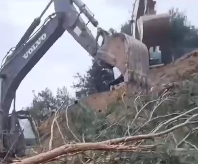 Dikmece-Gülderen'deki Ormanlık Alanlar, Taş Ocağına Kurban Ediliyor!