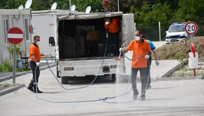 Hatay'da Karantinaya Alınan 2 Mahallede Kuduz Aşısı çalışmaları Başlatıldı