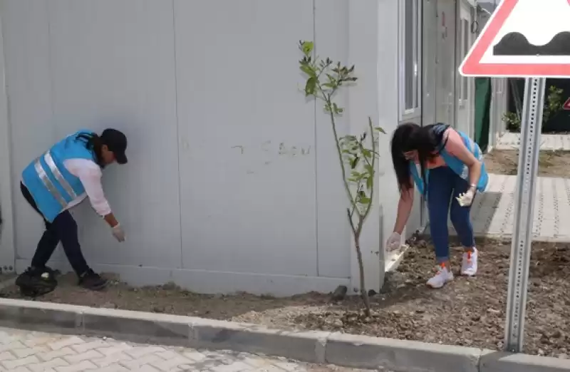 Hatay'da Depremzedeler Yaşadıkları Konteyner Kenti Güzelleştirerek Gelir Elde Ediyor 