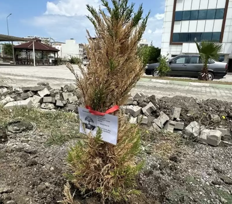 Hatay'da Depremde Hayatını Kaybeden 5 öğrencinin Anısına 200 Fidan Dikildi