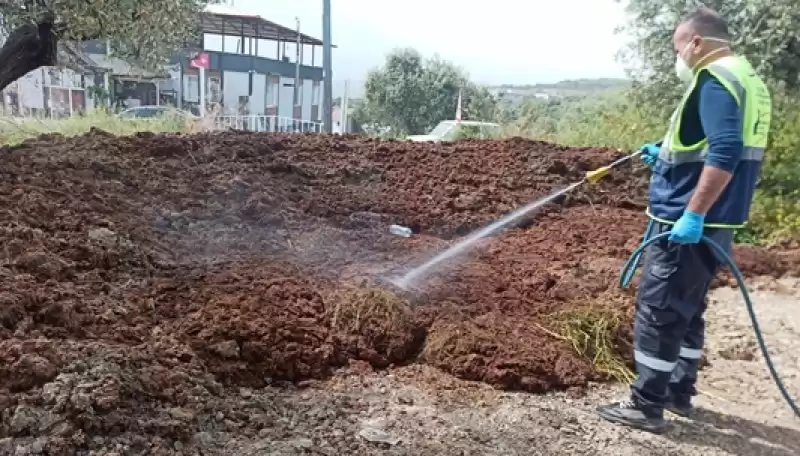 Hatay Büyükşehir, 72 Bin 108 Noktada Ilaçlama Yaptı