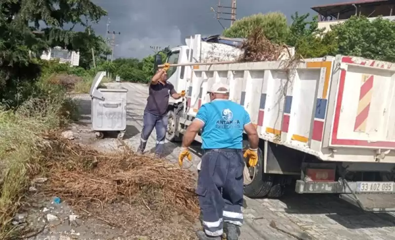 Temizlik çalışmaları şehrin Dört Bir Köşesinde Devam Ediyor