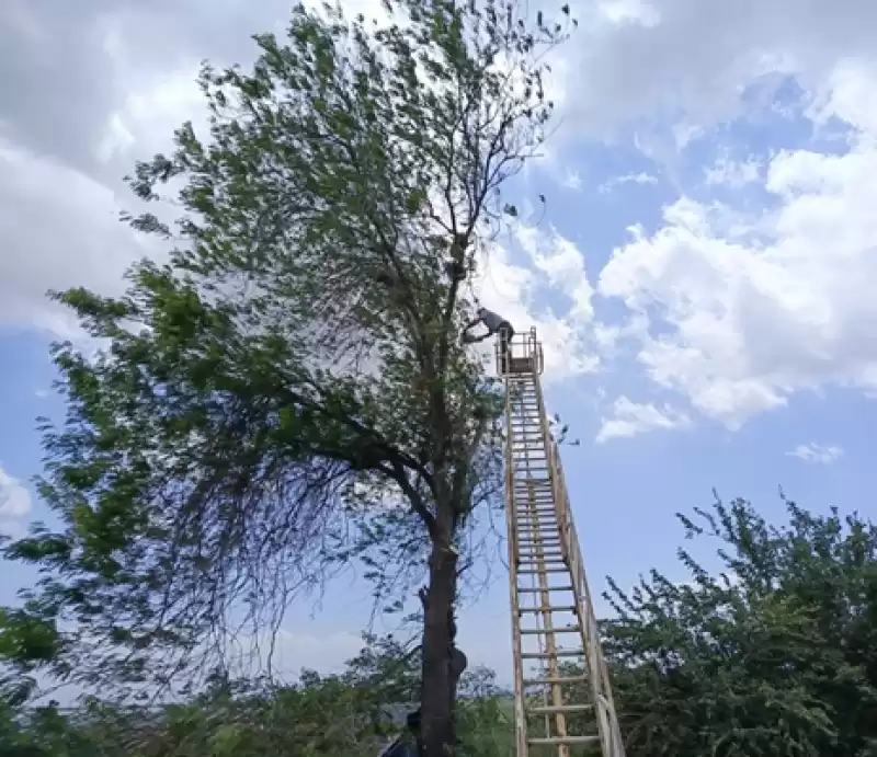 Antakya Belediyesi Ekipleri Park Ve Yeşil Alanlarda çalışmalarını Sürdürüyor