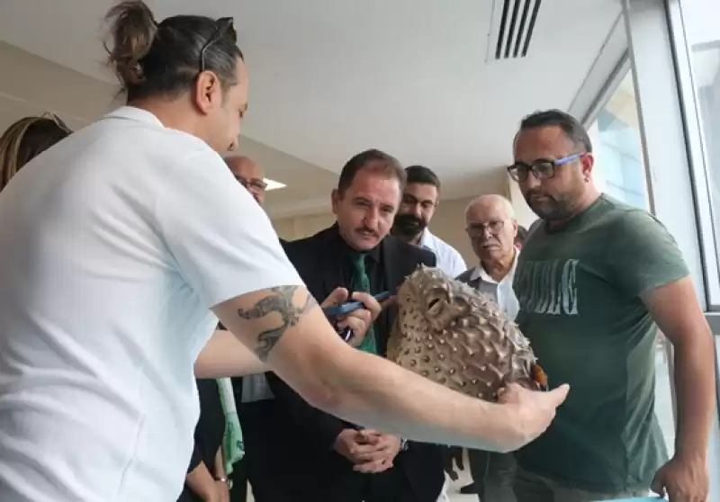 İskenderun'da Su Altı Müzesi Ziyaretçi Kabulüne Başladı